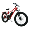 extender gravel carbon fiber electric bicycle