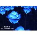 Outdoor Landscape Silica Gel  Rose Light