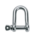 D Shackle Stainless Steel