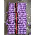 Fresh Purple Garlic with 5p/Mesh Bag Into 10kg Mesh Bag