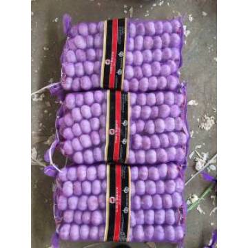 Fresh Purple Garlic with 5p/Mesh Bag Into 10kg Mesh Bag