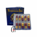 Amoxicillin Capsules 500mg Antibióticos