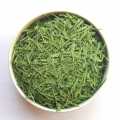 Food grade fresh Macha Green Tea matcha powder