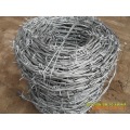 Barbed Wire, Galvanized/ PVC Coated/ Plastic Sprayed Barbed Wire