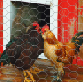 chicken wire mesh chicken wire netting