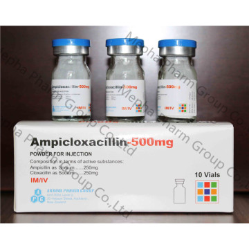 Ampicloxaxillin pour injection 500mg