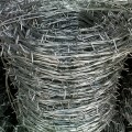 20 Feet Galvanized Barbed Wire 18 Gauge