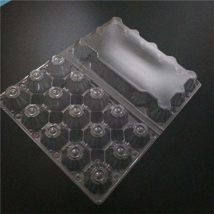 Transparent Egg Trays