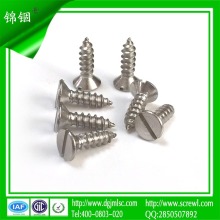 Widely Used Slotted Flat Head Self Tapping Screw