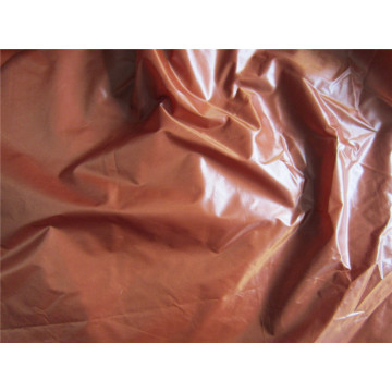 20d Nylon Taffeta Fabric for Down Coat (XSN009)