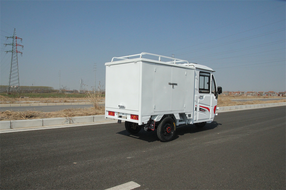 Easy to Go out Electric Tricycle Easy to Go out Electric Tricycle