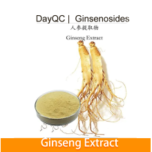 Panax Ginseng Wurzelpeginsenosides