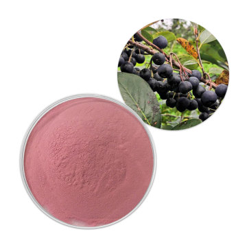 Factory Supply aronia chockberry fruit powder aronia powder