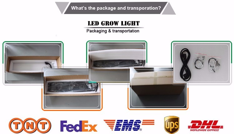 High power LED Grow light