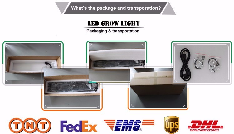 Cree LED Grow Light