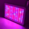 Full Spectrum  Indoor Led Grow Light