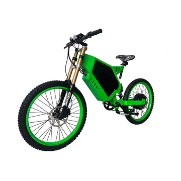 Custom Lithium Battery Power Electric Off-road Bicycle