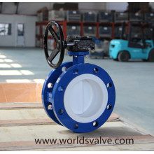 PTFE Fully Lining Double Flange Butterfly Valve