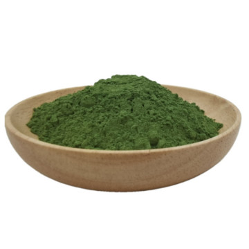 High quality vegetable juice powders natural celery powder