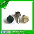 Cor Pintado Hex Wafer Cabeça Self Drilling Screw