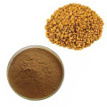 Top Quality Natural Fenugreek Seed Extract Powder