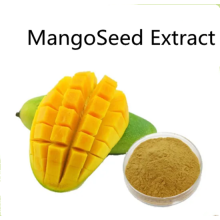 Buy online customizing Mango Seed Extract powder for