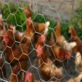 cerca de malha de arame hexagonal para gaiola de frango para gado