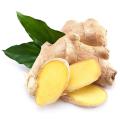 Ginger Extract powder 5% UV