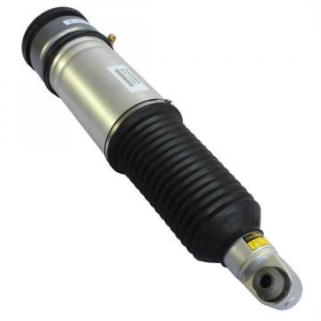 Air suspension for without EDC Rear Left OE37126785537