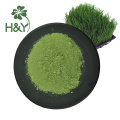 Competitive barley grass powder price barley grass powder