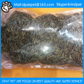 High Protein Pet Food Dried Mealworm