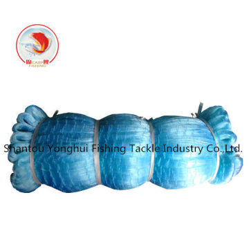 Blue Monofilament Fishing Net