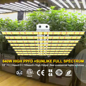 Newest Best Seller Hydroponic Wholesale Led Grow Lights