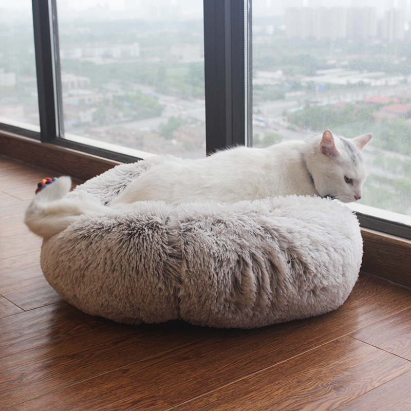 Pet Bed