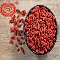 Ningxia Goji Berry Wolfberry fruit