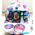 More Color Printing Cloth Quickly Recover and 3 D Embroidery Baseball Cap