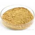 Chinese Medicine membranaceus stragalus root extract