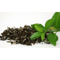 EGCG Extract in Green Tea 10~99% HPLC