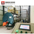 Diesel Oil Fired Steam Boiler for Sizing Mill