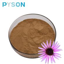 Echinacea polyphenols are used as antioxidants