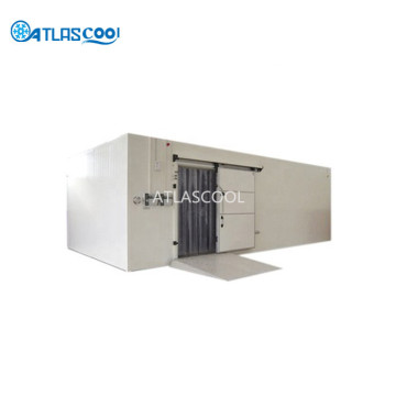 Blast freezer cold storage for fish and meat