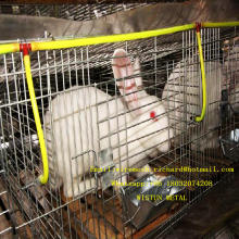 Китай Pouttry Cage Кролики Клетки Кролики Дом и другие клетки