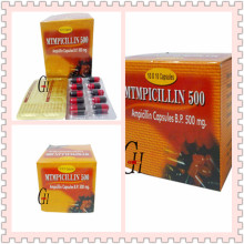 Ampicilina 500 mg Dosagem para Adultos