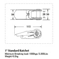 1-Zoll-Standard-Ratschenschnalle mit schwarzer elektrophoretischer Farbe