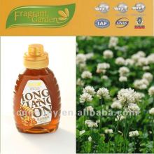 pure natural sweet clover honey for sale