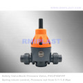 UPVC safety valve socket DIN PN10