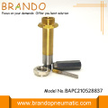 Vástago de válvula solenoide amarillo cobre con diámetro de 10 mm