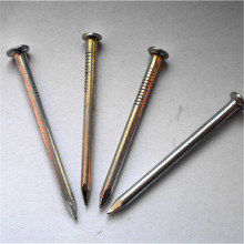 Professional Common Nail China Supplier