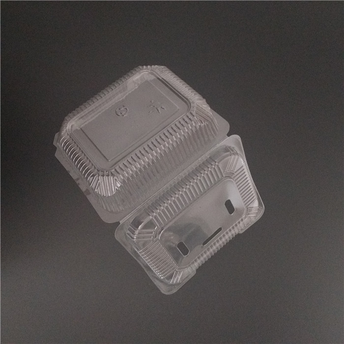 Plastic Fruit Container