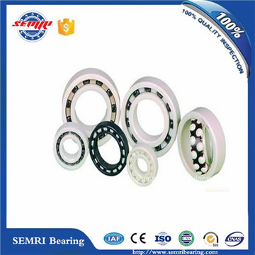 Super Performance Full Ceramic Ball Bearing (6201)